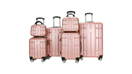 Set da viaggio personalizzato da 6 pezzi Set di valigie Borse da viaggio Trolley a mano con 4 ruote Bagagli con spinner