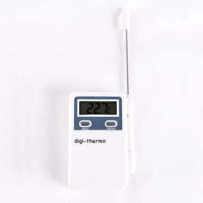 Termometro digitale per interni ed esterni per barbecue per cibi sani
